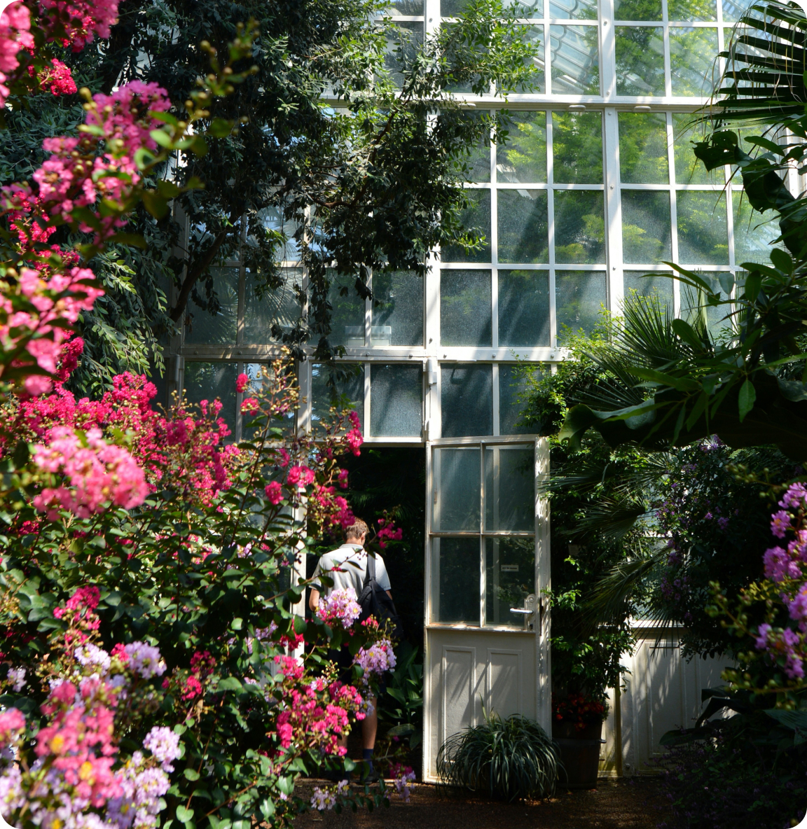 Palmenhaus Schönbrunn