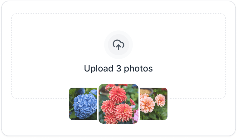 Photos feature